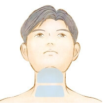 あご下・首