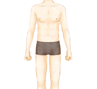 Body