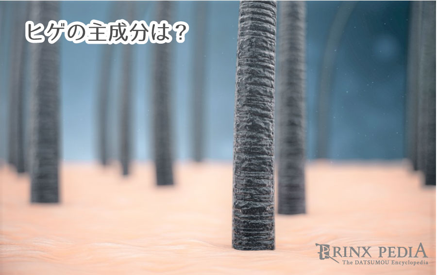 時間や季節でヒゲが伸びる早さが変わる 意外と知らないヒゲの雑学 豆知識 メンズ脱毛百科事典 リンクスペディア