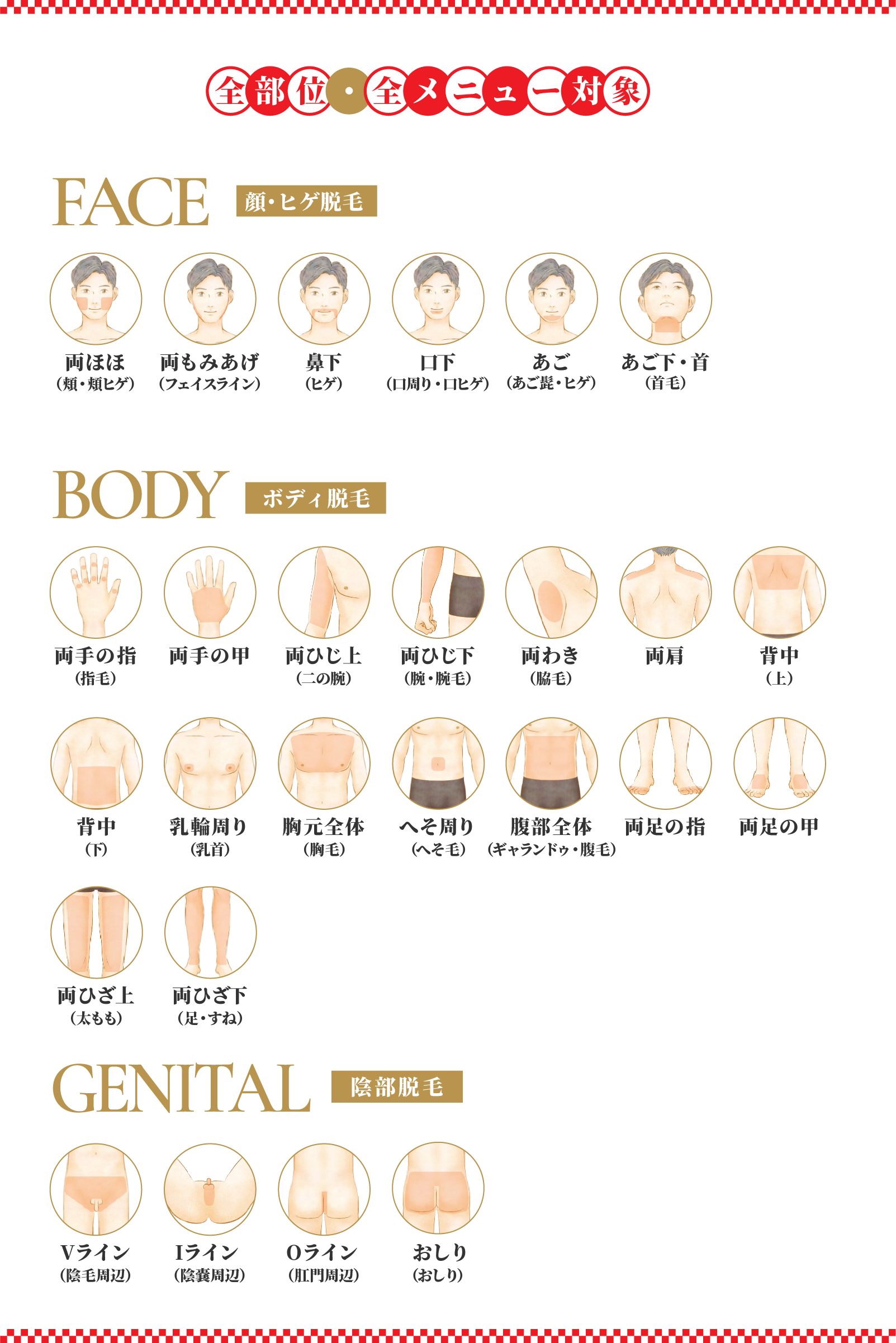 全部位・全メニュー対象