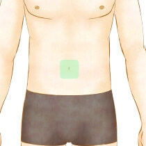 へそ周り