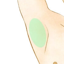 両わき
