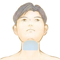 あご下・首
