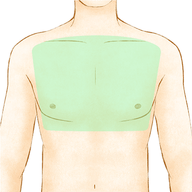 胸元全体（胸毛）イメージ