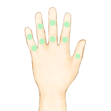両手の指