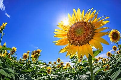 川崎店初夏到来2019年06月02日