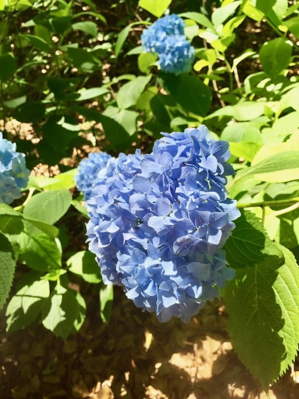 町田店これから夏本番!男性のデリケートゾーン脱毛2019年06月05日